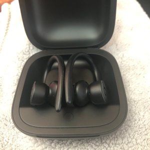 Beats by Dr. Dre Powerbeats Pro Earhook True Wireless Earbud